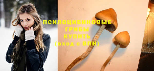 ПСИЛОЦИБИНОВЫЕ ГРИБЫ Алексеевка