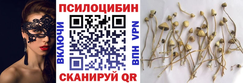 где найти наркотики  Сургут  Галлюциногенные грибы прущие грибы 